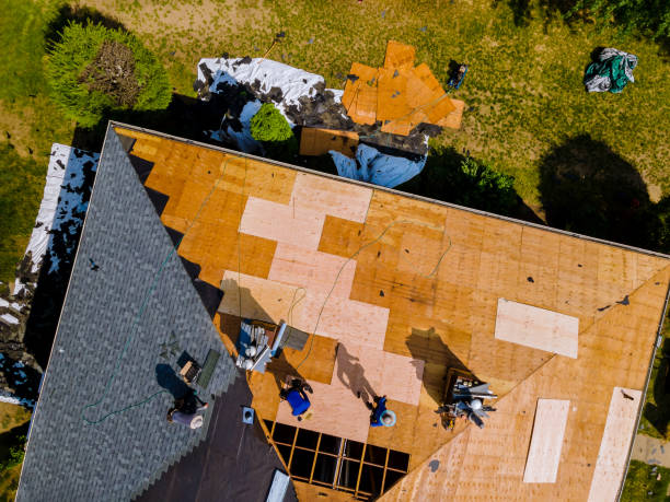 Best Commercial Roofing Services  in Caseyvle, IL