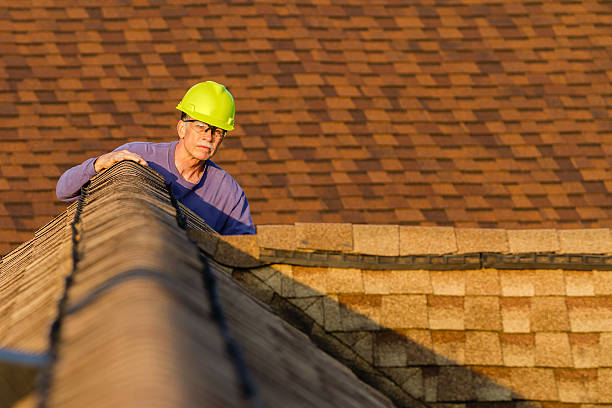 Best Roof Gutter Cleaning  in Caseyvle, IL
